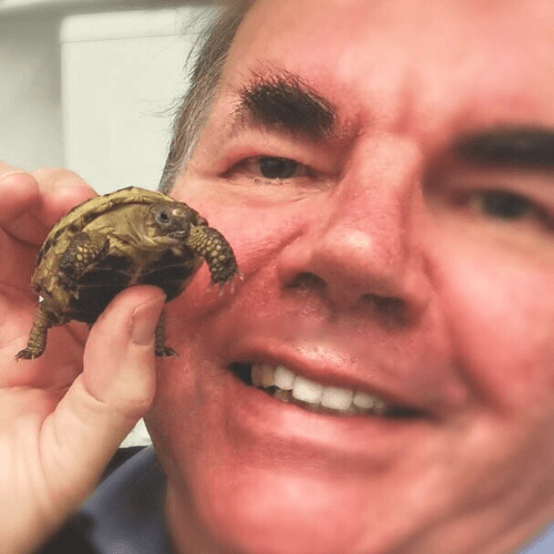 Peter Higgins headshot